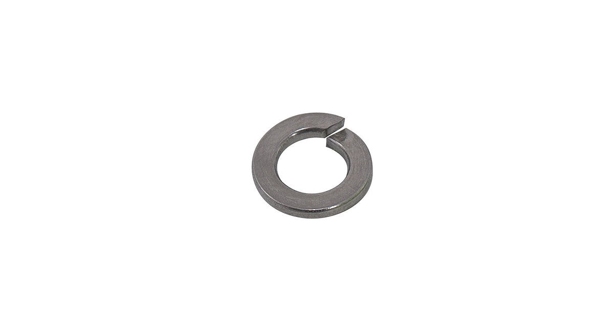 W019-BP - Rhino Rack M8 Spring Washers S/S (Bp 10)